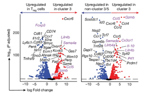 Nature：免疫系統(tǒng)在對(duì)抗癌癥的過程中最大的敵人居然是自己！
