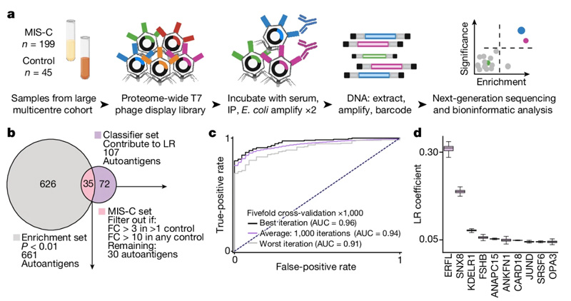 自身抗原將MIS-C與高危對照區(qū)分