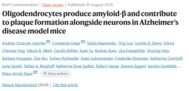少突膠質細胞在阿爾茨海默病模型小鼠中產(chǎn)生淀粉樣蛋白-β，并與神經(jīng)元一起促進斑塊形成