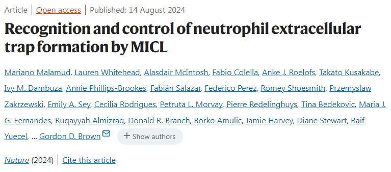 MICL對中性粒細(xì)胞胞外陷阱形成的識別和控制