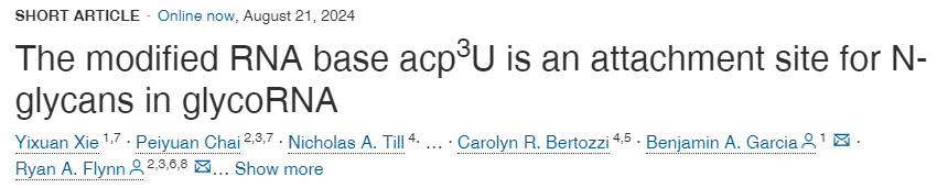 修飾的RNA堿基acp3U是糖RNA中N-聚糖的附著位點