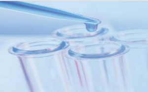 邁瑞引燃股市熱潮，西寶配對(duì)抗體助力再攀診斷市場(chǎng)新高