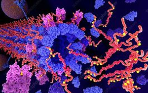 Tau不僅是“壞人”，它還扮演著“好人”的角色，保護(hù)我們的大腦