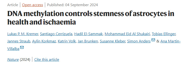 DNA甲基化控制健康和缺血星形膠質(zhì)細胞的干性 DNA甲基化控制健康和缺血星形膠質(zhì)細胞的干性