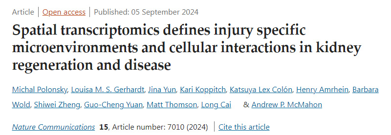 
空間轉(zhuǎn)錄組學(xué)定義了腎臟再生和疾病中損傷特異性微環(huán)境和細(xì)胞相互作用