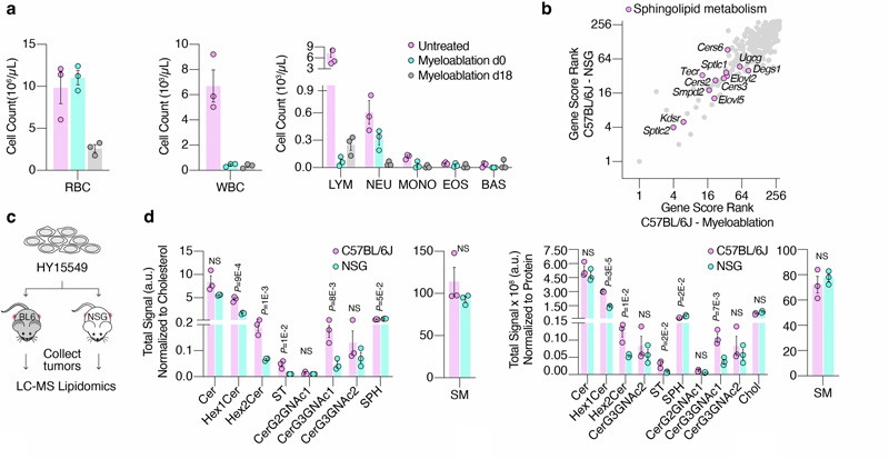 癌癥細胞鞘脂的可用性介導(dǎo)免疫逃避