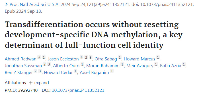 轉分化發(fā)生時不會重置發(fā)育特異性DNA甲基化是全功能細胞身份的關鍵決定因素
轉分化發(fā)生時不會重置發(fā)育特異性DNA甲基化是全功能細胞身份的關鍵決定因素