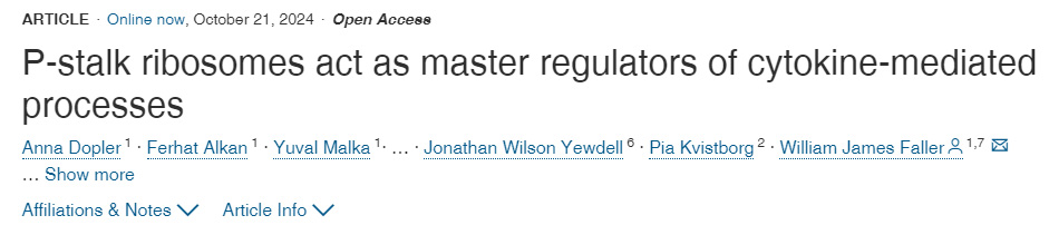 
P-莖區(qū)核糖體是細胞因子介導過程的主要調節(jié)因子