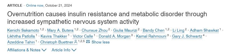 
營養(yǎng)過剩通過增加交感神經(jīng)系統(tǒng)活動導(dǎo)致胰島素抵抗和代謝紊亂