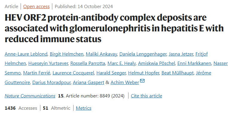 戊型肝炎ORF2蛋白抗體復合物沉積與免疫狀態(tài)降低的戊型肝炎腎小球腎炎有關