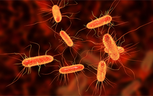 《Nature》腸道中的某些大腸桿菌如何促進結(jié)腸癌？