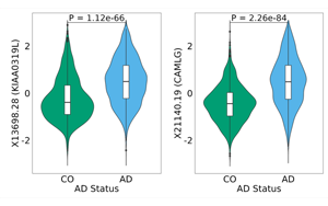 科學(xué)家發(fā)現(xiàn)了阿爾茨海默病檢測(cè)和治療的腦脊液標(biāo)志物