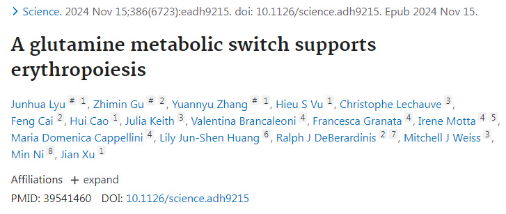 谷氨酰胺代謝開關(guān)支持紅細(xì)胞生成 谷氨酰胺代謝開關(guān)支持紅細(xì)胞生成