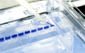 瓊脂糖層析產(chǎn)品：從科研到生產(chǎn)的解決方案