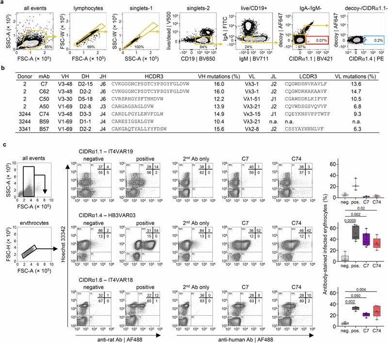流式細胞術(shù)門控和單克隆抗體序列分析 流式細胞術(shù)門控和單克隆抗體序列分析