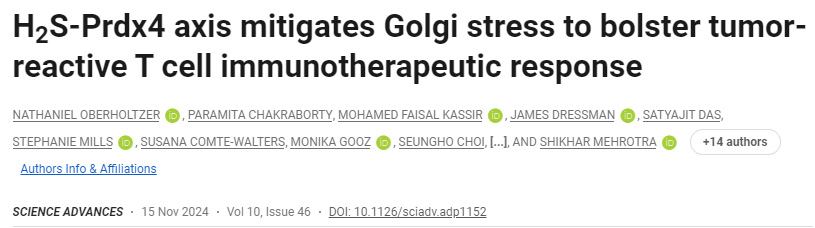 H2S-Prdx4軸減輕高爾基體應(yīng)激，增強(qiáng)腫瘤反應(yīng)性T細(xì)胞免疫治療反應(yīng)
