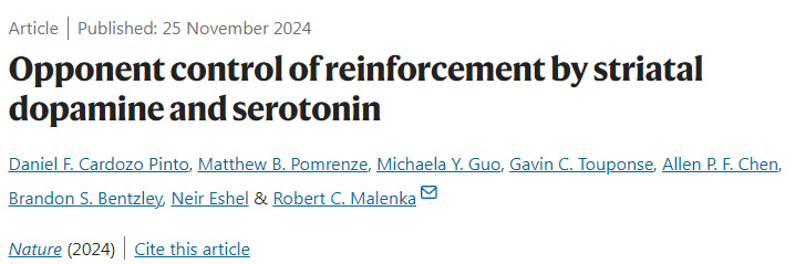 紋狀體多巴胺和血清素對強(qiáng)化的相反控制