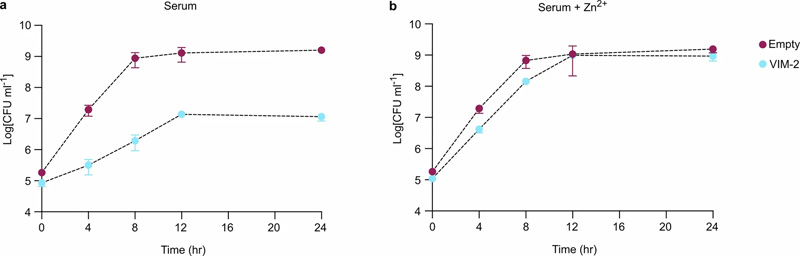 VIM-2的表達(dá)降低了鋅限制性人血清中肺炎克雷伯菌的生長 VIM-2的表達(dá)降低了鋅限制性人血清中肺炎克雷伯菌的生長
