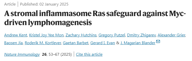 基質(zhì)炎性小體Ras對Myc驅(qū)動的淋巴結(jié)生成的保護作用