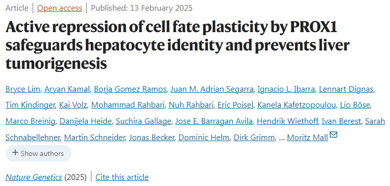 PROX1對(duì)細(xì)胞命運(yùn)可塑性的主動(dòng)抑制保護(hù)了肝細(xì)胞的身份并預(yù)防了肝臟腫瘤的發(fā)生