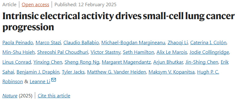 內(nèi)源性電活動驅(qū)動小細(xì)胞肺癌進(jìn)展