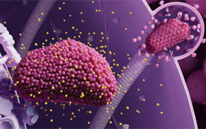 生物醫(yī)藥領(lǐng)跑2024《科學(xué)》十大突破：從艾滋病到CAR-T療法，未來(lái)已來(lái)