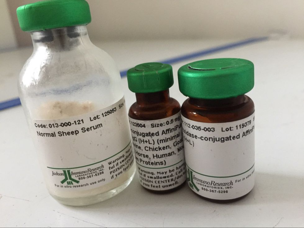 血清產(chǎn)品 血清產(chǎn)品