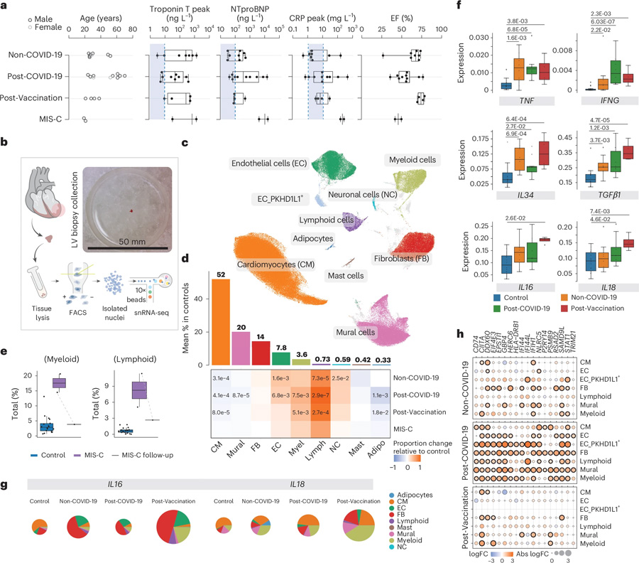 非COVID-19、COVID-19后以及疫苗接種后的炎癥性心肌病具有獨(dú)特的細(xì)胞和分子特征