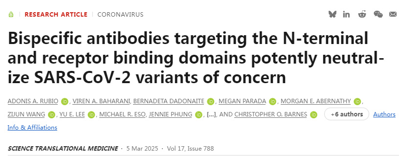 靶向N端和受體結(jié)合域的雙特異性抗體有效中和受關(guān)注的SARS-CoV-2變異株