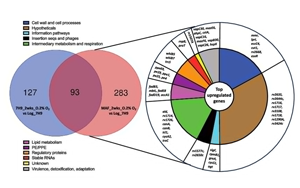 PNAS：萬萬沒想到，結(jié)核桿菌自己提供促進(jìn)空氣傳播的基因