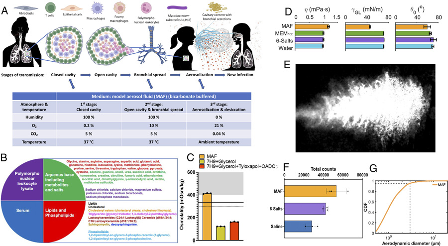 流體和大氣模擬傳輸?shù)娜齻€(gè)階段