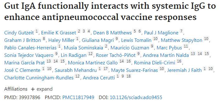 腸道IgA與全身性IgG的功能性互作增強抗肺炎球菌疫苗應(yīng)答