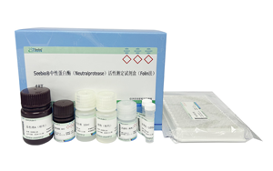 西寶生物隆重推出兩款蛋白酶檢測(cè)試劑盒 - 精準(zhǔn)檢測(cè)，賦能生物制藥質(zhì)量控制