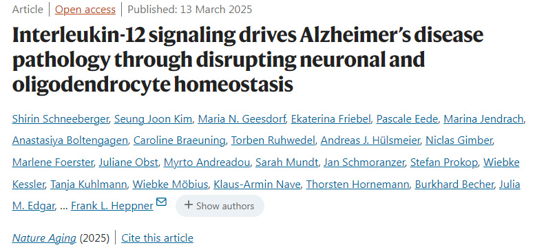 白細胞介素-12信號通路通過破壞神經元與少突膠質細胞穩(wěn)態(tài)驅動阿爾茨海默病病理進程