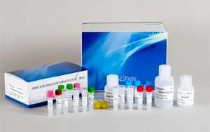 新品上市|硫酸軟骨素/硫酸皮膚素定量檢測(cè)試劑盒-關(guān)注糖胺聚糖檢測(cè)，助力藥品安全與科研創(chuàng)新！