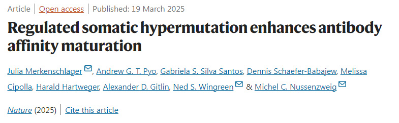 受調(diào)控的體細胞高頻突變促進抗體親和力成熟