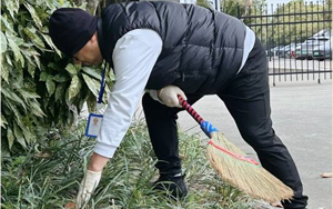 春掃落葉迎新綠，西寶同心繪凈界