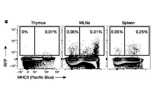 Nature：T細胞也需要“早教”，只要細菌教得好，機體免疫差不了！