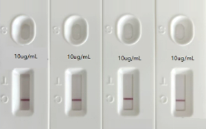 人偏肺病毒（hMPV）抗原檢測(cè)-免疫層析 （膠體金、彩色乳膠及熒光免疫層析）解決方案