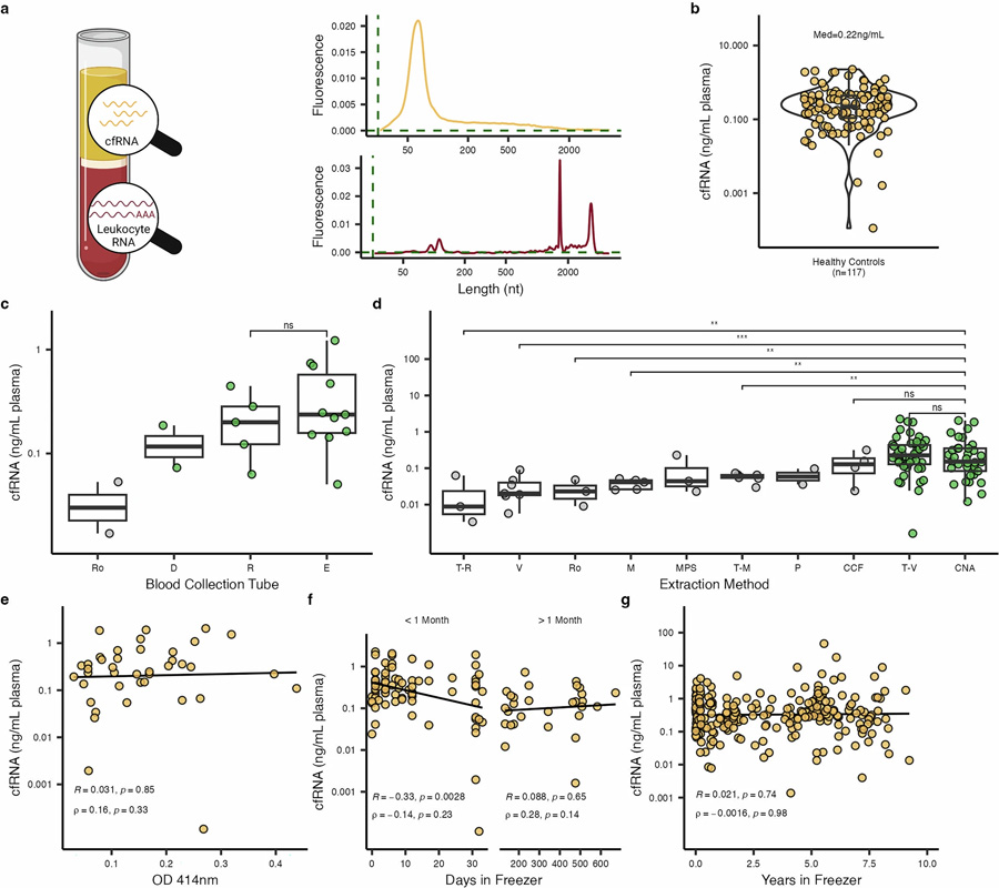 血液采集和cfRNA提取的優(yōu)化 血液采集和cfRNA提取的優(yōu)化