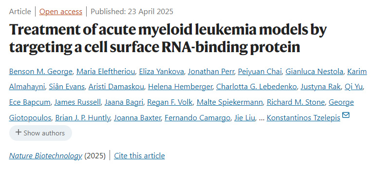 通過靶向細(xì)胞表面RNA結(jié)合蛋白治療急性髓系白血病模型