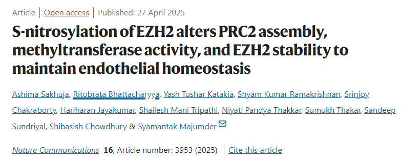 EZH2的S-亞硝基化通過改變PRC2復(fù)合物的組裝、甲基轉(zhuǎn)移酶活性及EZH2的穩(wěn)定性來維持內(nèi)皮穩(wěn)態(tài)
