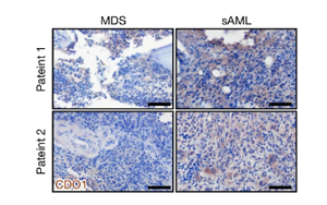 Nature：?；撬崮芡苿影籽“┘毎L！