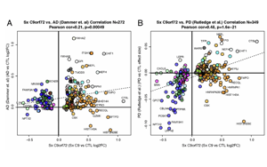 Nature Aging：中年人如何患上癡呆癥？可能與這些蛋白質(zhì)有關(guān)
