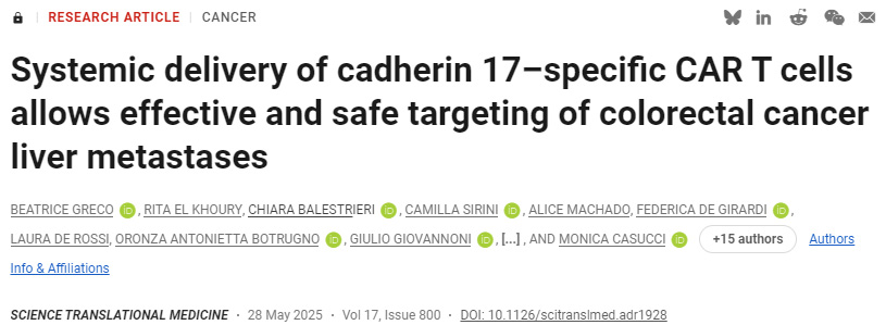 鈣黏蛋白17特異性CAR T細(xì)胞的全身遞送可實現(xiàn)結(jié)直腸癌肝轉(zhuǎn)移灶的安全有效靶向治療