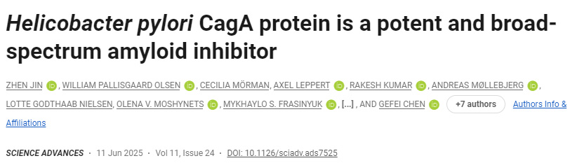 幽門螺桿菌CagA蛋白是一種強(qiáng)效廣譜淀粉樣蛋白抑制劑