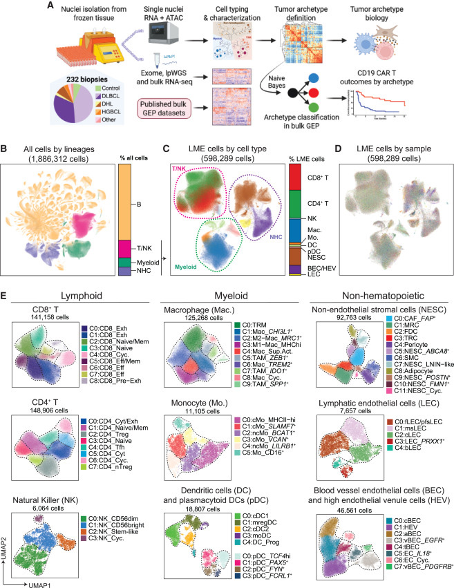 基于單細胞核多組學分析的研究設(shè)計與細胞類型概覽 基于單細胞核多組學分析的研究設(shè)計與細胞類型概覽