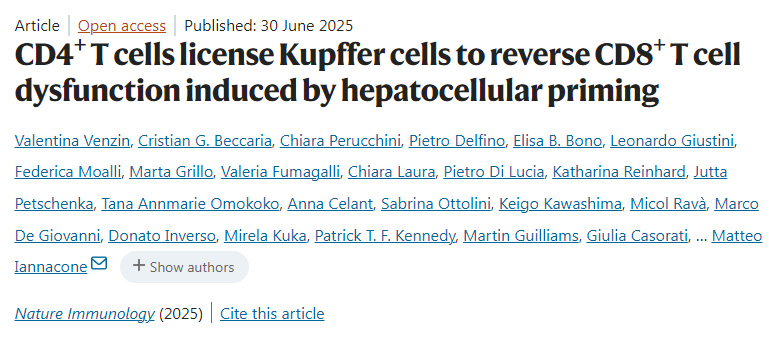 CD4+ T細(xì)胞允許庫(kù)普弗細(xì)胞逆轉(zhuǎn)肝細(xì)胞啟動(dòng)誘導(dǎo)的CD8+ T細(xì)胞功能障礙