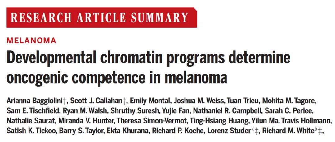 改寫教科書！Science揭示：為什么你體內(nèi)的癌細(xì)胞沒發(fā)展成癌癥？