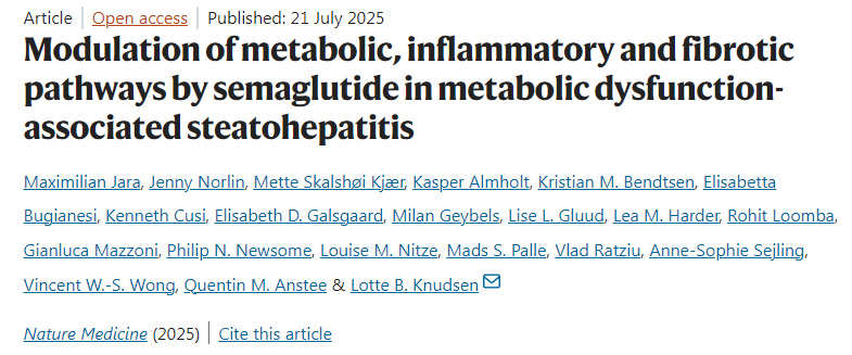 司美格魯肽在代謝功能障礙相關(guān)脂肪性肝炎中對代謝、炎癥和纖維化通路的調(diào)節(jié)作用